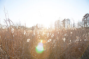 静かな時間が息づく写真の世界へ──徳永 彩 写真展「HER WORLD」