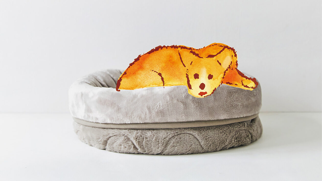 暖かい 犬 寝床 ドーム L 直径60cm ペット用品 冬 ペットベッド ドーム