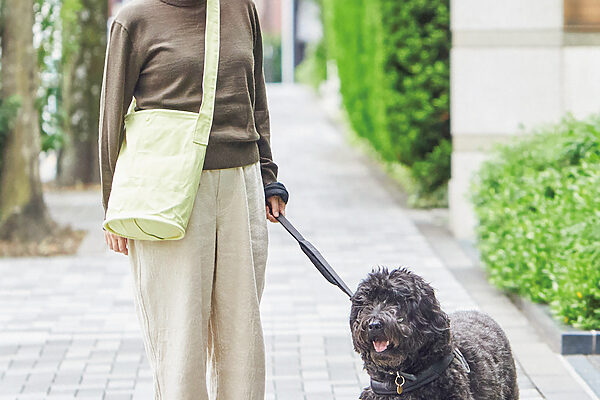 うちのコもお気に召しました。ペットと幸せに暮らすグッズ【買ってよかったもの2025 ペットグッズ部門】