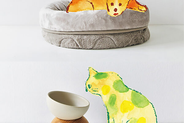 うちの愛犬・愛猫が喜んでくれたもの【買ってよかったもの2025 ペットグッズ部門】