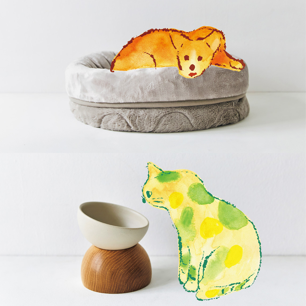 うちの愛犬・愛猫が喜んでくれたもの【買ってよかったもの2025 ペット 