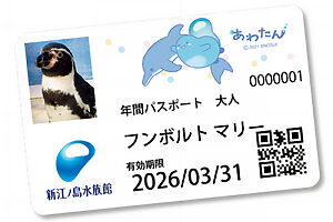 暗闇トランポリン、金箔貼り、プライベートメイクセッション──“課金”する価値ある体験6選【買ってよかったもの2025 体験部門】