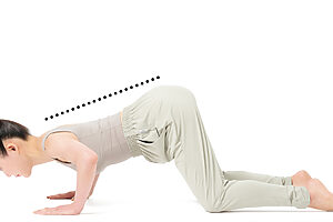 2. 肘を曲げて上体を下ろし、床を押して元に戻る。胸から下りて、お腹から上がる意識ですると腰が落ちない。10回繰り返す