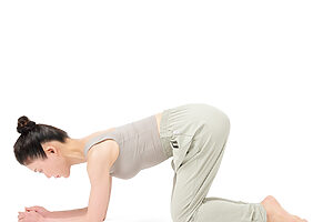 1. 肩幅に開いた両肘と両膝を床につき、上体をまっすぐに保つ。肩がすくまないよう、肩甲骨はお尻側に引き下げる