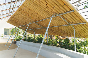 タチバナや金花茶に代表される食用の植物に囲まれて、懐かしい縁側のような温もりを感じる「軒下リビング」