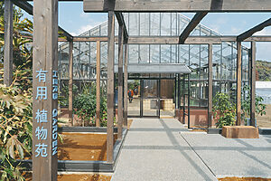 「有用植物」とは、食用のほか建築・工芸・薬などに用いられる、人間の生活に役立つ植物の総称