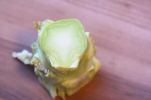 茎の断面を見ると「ひだ」のようなものがあり、ここから外側の皮が固いのだそう