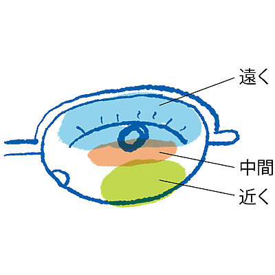 老眼が気になる世代の「疲れにくくなるメガネの選び方」