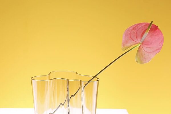 インテリアにはなやぎを。イッタラ「アアルトベース」誕生90周年に新たなコレクションが登場