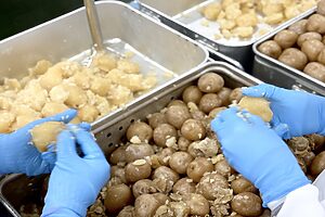 1日に約5,000個のじゃがいもを手剥き。1個あたりにかかる時間はおよそ10秒！