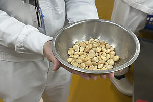 皮を剥いたマカダミアナッツ。ごろっと大きい状態のまま生地に練り込まれている