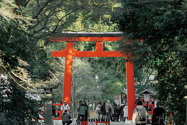 フォトグラファー・宮濱祐美子さんと行く、心と体を浄化する京都ご利益旅【私の京都ベストルート】