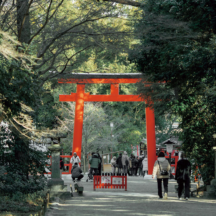 フォトグラファー・宮濱祐美子さんと行く、心と体を浄化する京都ご利益旅【私の京都ベストルート】