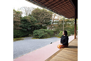 白砂の線引きがされた優美な雰囲気の南庭。方丈に座ってゆっくり眺めることができる