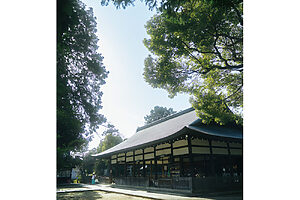 拝殿。広々とした境内は清らか。看板犬の小雪（白柴）に出合えることも