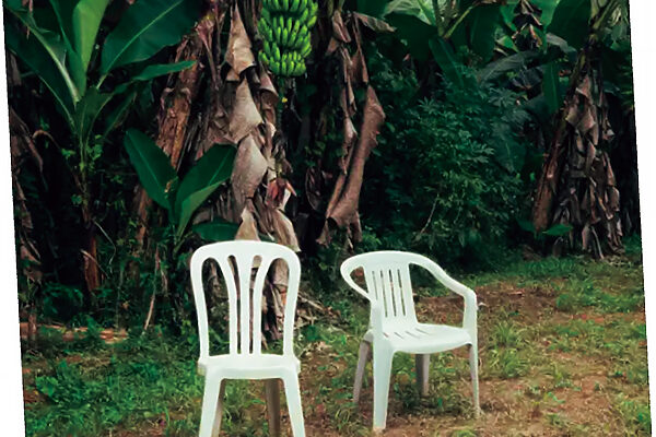 ラテン音楽の響きが映す移民国家アメリカの現在──「NUEVAYoL」（バッド・バニー）