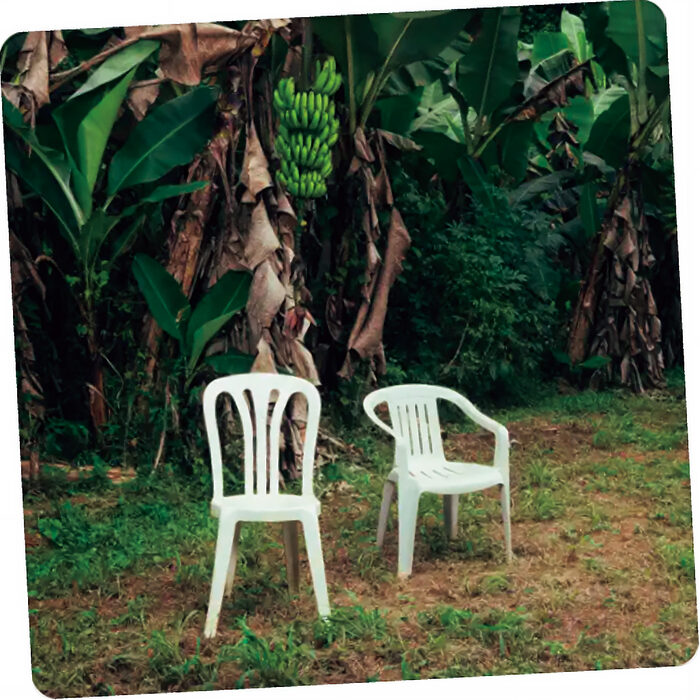 ラテン音楽の響きが映す移民国家アメリカの現在──「NUEVAYoL」（バッド・バニー）