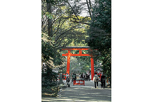 1994年に神社全域が世界遺産に指定された下鴨神社。原野だった頃の植生が残る参道沿いの「糺の森」は静謐な空気に満ち、優しい土の気を感じ、気持ちが落ち着く
