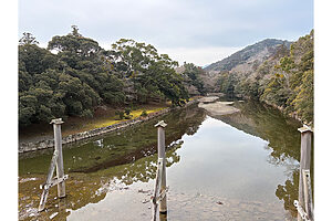 宇治橋は木製のため、流れてきたものを避けられるよう川の上流には杭が立っている
