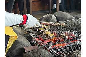 炭火で焼き立ての新鮮な海鮮は絶品！