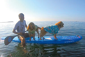 〈犬と一緒のSUP〉湘南の「Hosoii Surf&Sports」では、犬とSUPまたはサーフィンを体験できる。道具のレンタル込みなので、身軽に参加可