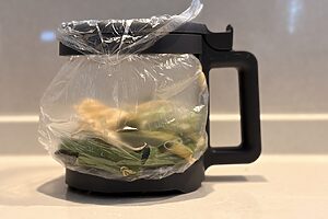 ＜乾燥後＞生ごみが半量ほどに減少