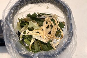 生ごみの水分が見事になくなり、ごみ捨てが簡単。夜セットしておけば朝には乾燥完了