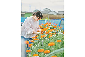露地栽培の花畑で花の摘み取り体験。南房総には花摘みスポットが点在し、ス トックや金魚草などの花畑が広がる