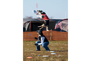 〈ディスクドッグ〉運動しながら一緒に高みを目指すことで、愛犬との絆が深まる