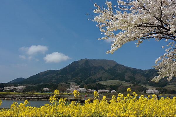 “山歩き初心者”におすすめしたい、日本全国低山ガイド