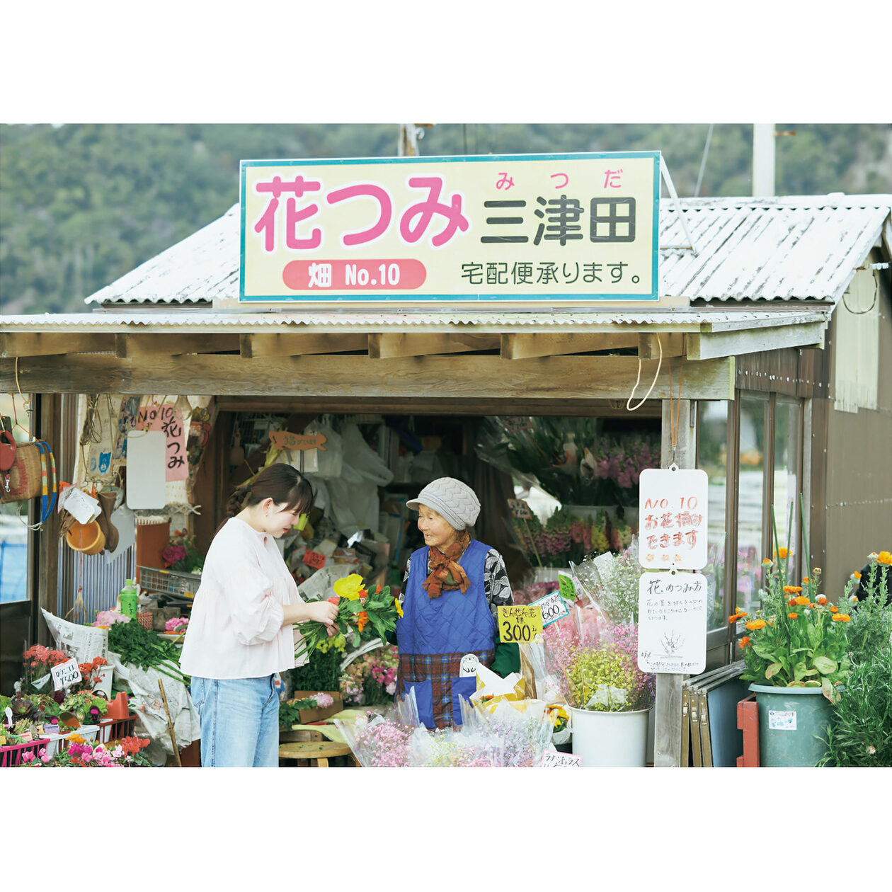 料理家・今井真実さんと行く、千葉・南房総で花摘みと収穫を楽しむ