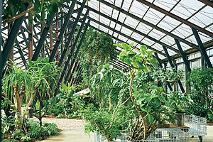 温室には10〜30℃帯で育つ常緑の有用植物が。3つのシートスペースがあり、ゆっくり観察できる