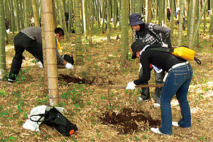 たけのこ掘りは4月中旬頃まで。農園のお問い合わせは大多喜町観光協会へ（TEL：0470-80-1146）