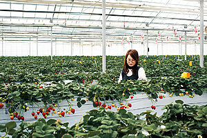 「大粒のいちごを好きなだけ♪」　通路も広め設計でベビーカーや車椅子もOK