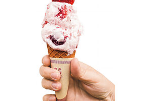 真岡産とちひめを贅沢に使ったとちひめジェラート550円