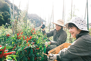 5月は田植えや夏野菜の植え付けなど、四季に応じた農作業を体験できる