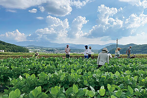 お米や豆の収穫や、八ヶ岳生とうもろこしや野沢菜など、特産の旬を味わう体験も