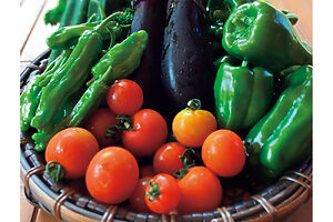 畑では、5月には玉ねぎやそら豆、6月からは夏野菜やスイカも収穫できる