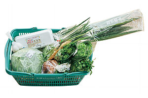 今井さんの本日の買い物かご。「クレソンなど葉物野菜が新鮮でうれしい」