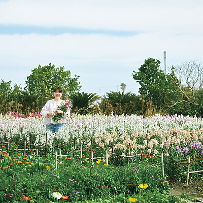 料理家・今井真実さんと行く、千葉・南房総で花摘みと収穫を楽しむドライブ旅