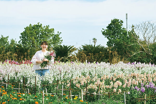 料理家・今井真実さんと行く、千葉・南房総で花摘みと収穫を楽しむドライブ旅