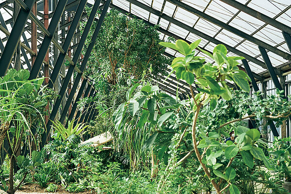 季節ごとの収穫体験へ──千葉・大多喜でハーブと緑を巡るドライブ旅