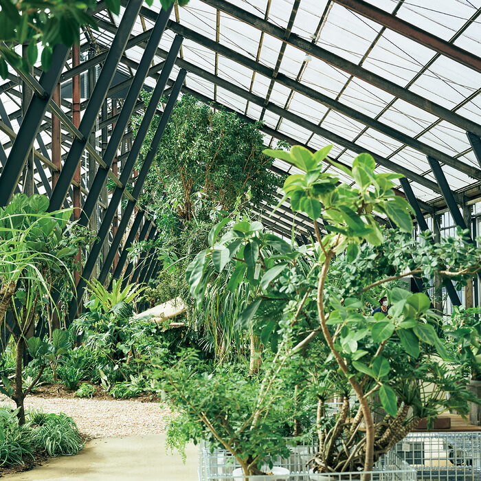 季節ごとの収穫体験へ──千葉・大多喜でハーブと緑を巡るドライブ旅