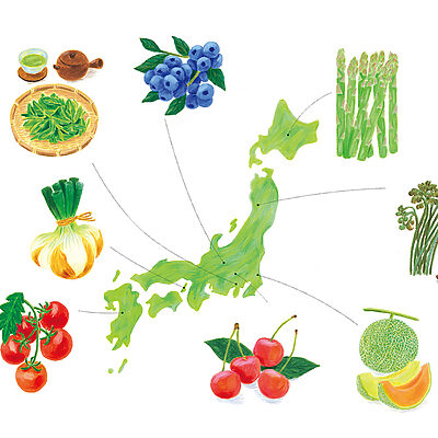 初夏の収穫体験はどこで楽しめる？ 日本全国収穫体験〈旬〉MAP