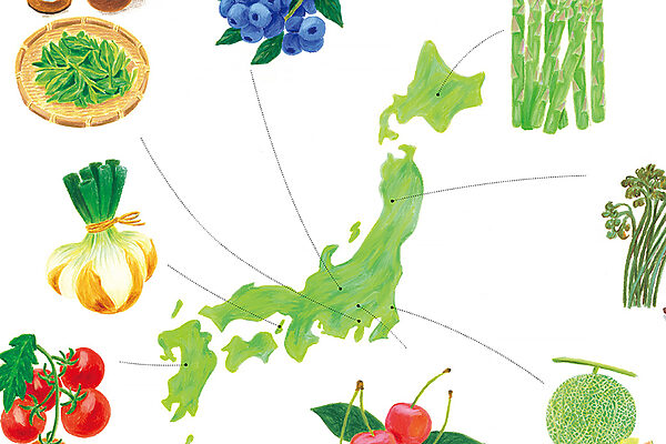 初夏の収穫体験はどこで楽しめる？ 日本全国収穫体験〈旬〉MAP