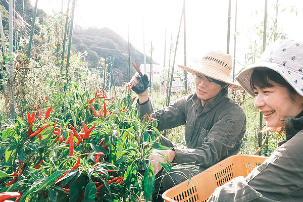 その土地の良さを知り、収穫を極める「農泊体験」へ