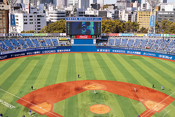 開放感と臨場感がたまらない！ プロ野球観戦のすすめ