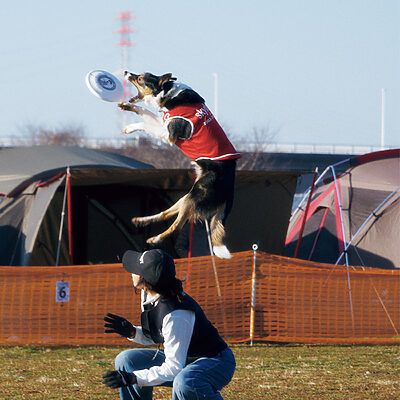 ディスクドッグ、SUP、ゴルフまで──愛犬と一緒に楽しむスポーツ＆アクティビティ4選