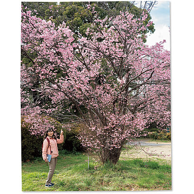 【植物園にいこう】植物生態学者・多田多恵子さんと草花や木々を愛でるお散歩へ