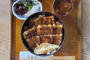 【後編】クイーン・エリザベス乗船体験記。知っておきたい船旅の身支度＆寄港地での楽しみ方